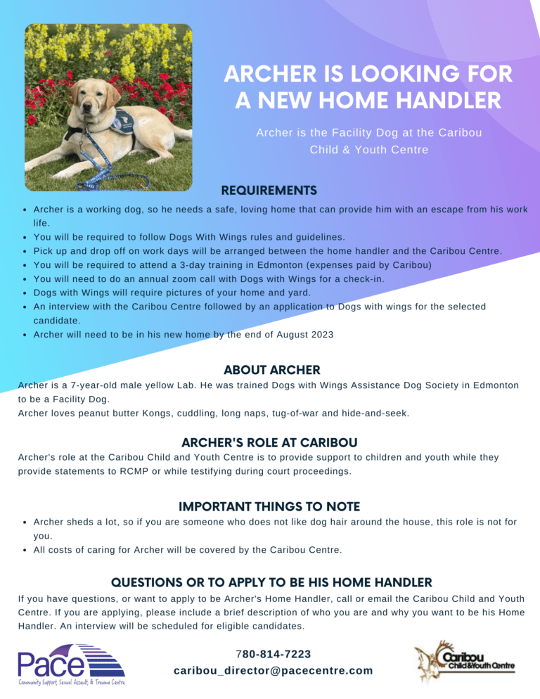 Archer is looking for a new home handler